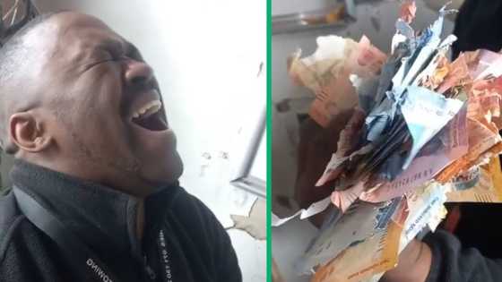 Money heist gone wrong leaves man crying at torn banknotes, TikTok video stuns SA