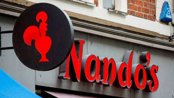 Nando's SA offers woman free meal after she claims to fall in love: #GoneGirl