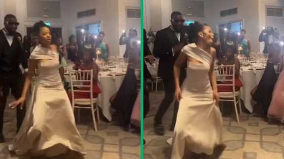 Wedding guest's Barcadi dance in TikTok video has Mzansi applauding woman's energy