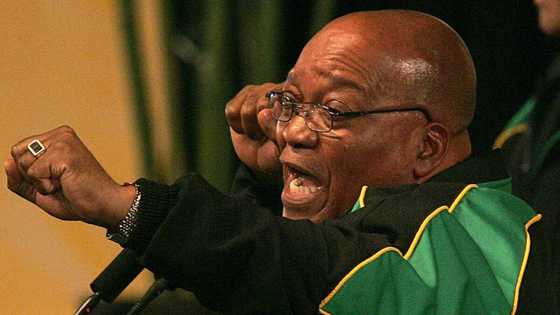 Political analyst says Jacob Zuma wants ANC Top 6 post for “political protection”, SA divided over remarks