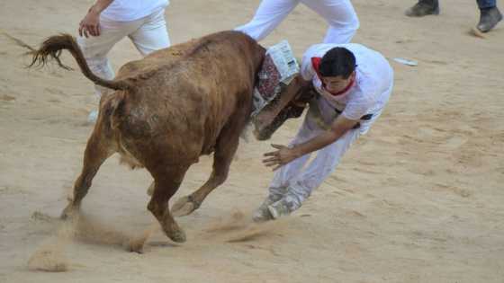 Foreigners flock back to Spain bull-running fiesta