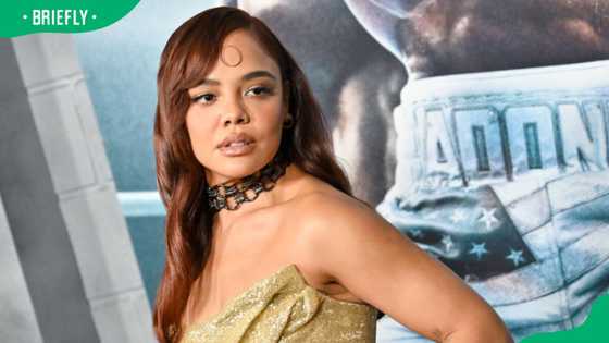 Tessa Thompson's relationship status: All about her dating history