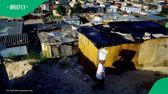 Court orders Ekurhuleni to rebuild Benoni settlement after SANDF demolitions left hundreds homeless