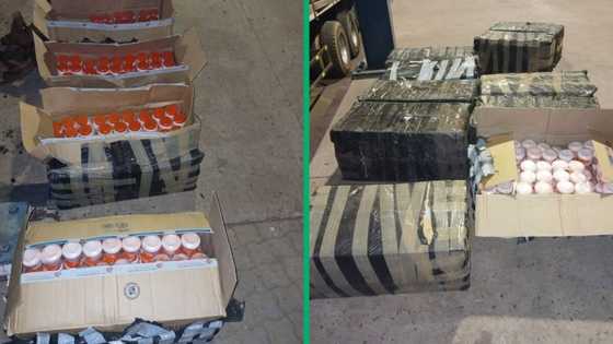 Zimbabwean national remanded for smuggling illicit goods into SA