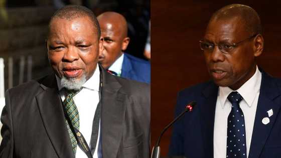 Mantashe backs Mkhize, says resignation would be an 'occupational hazard'