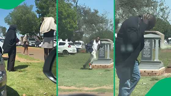 "The deceased is probably laughing": Bee swarm attacks mourners during funeral service, SA amused