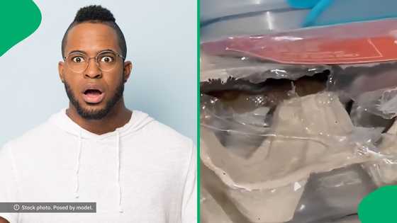 "New fear unlocked": Man finds snake inside eggs package, SA in disbelief