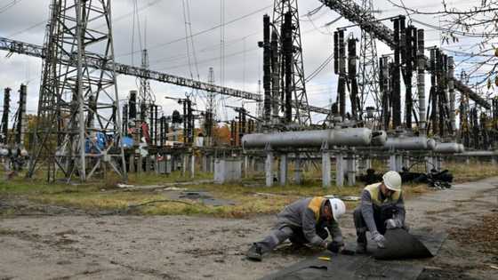 'Sharp' global labour market slowdown underway: UN