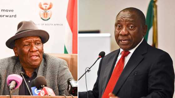 Anti-Cele sentiment: Mzansi has spoken, thousands sign DA's petition demanding that Ramaphosa fire Bheki Cele