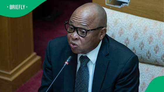 Deputy Police Minister Mathale denies pressuring arrest of blogger Musa Khawula