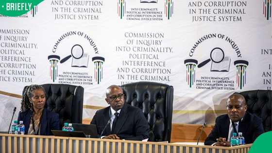 Madlanga Commission's Witness M fears being killed over Heads of State and drug syndicate testimony