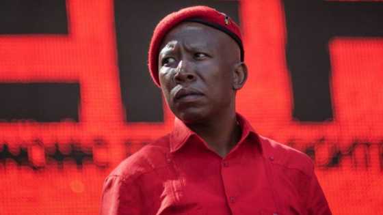"Won't help the poor": EFF rejects R11 bn World Bank loan, SA says it's useless