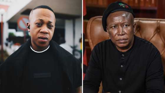 Young Stunna parties with Julius Malema, Mzansi notes their resemblance: "Why do they look alike"