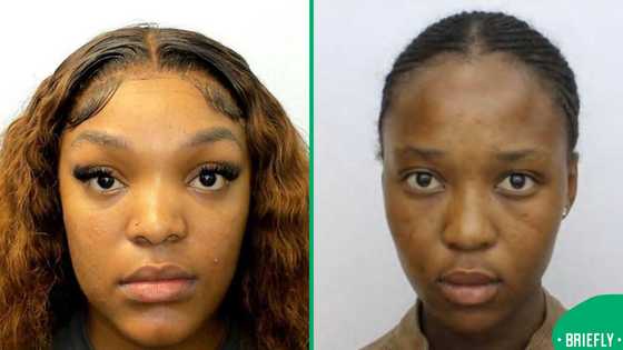 “We are sorry”: two women in viral gun video apologise as police probe continues