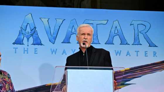 'Avatar 2' success proves cinema in post-pandemic 'resurgence': Cameron