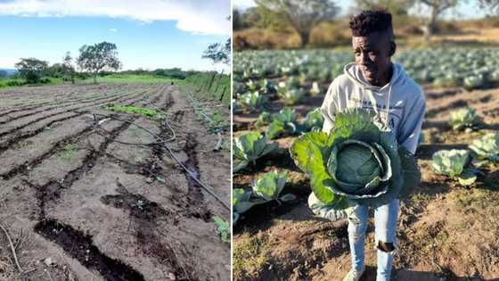 Meet Katlego: Young man inspires hope in his community, set tongues wagging
