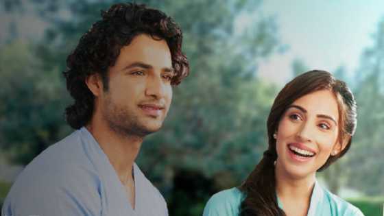 If You Were Not There on Zee World: Cast, full story, plot summary, episodes