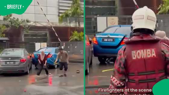 Barefoot woman grabs live snake with her bare hands as stunned crowd watches viral rescue unfold