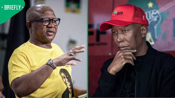 Julius Malema says Fikile Mbalula is the only obstacle to EFF joining GNU, South Africans debate