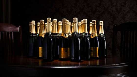 Saapa calls for a halt on the issuing of liquor licences at petrol stations