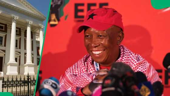 EFF’s Julius Malema rejects Government of National Unity with right-wing parties