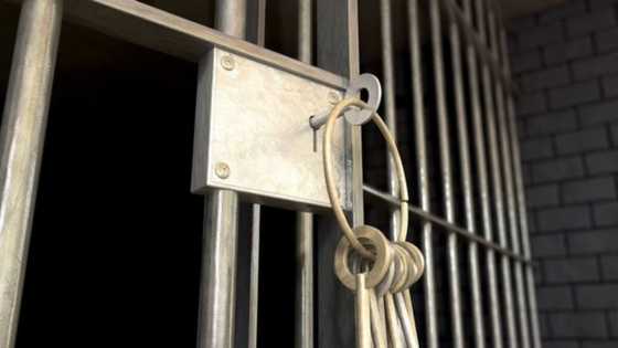 12 Years later: Durban medical school student nabbed for applying to university with fake matric results