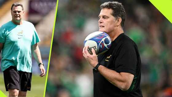 Coach Rassie Erasmus welcomes new faces to the squad ahead of Portugal clash