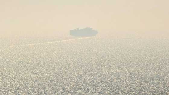 Black Sea ships carrying grain hit insurance obstacle