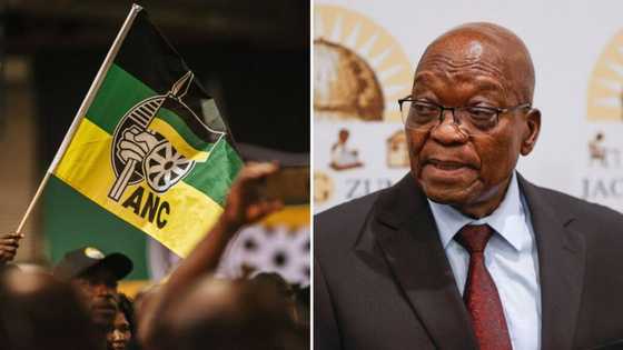 Jacob Zuma says he isn’t too sick and old to run for ANC Top 6 position, Mzansi annoyed with possible comeback