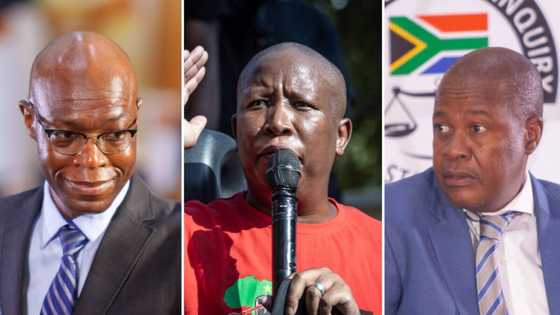 “Any help must be welcome”, Malema insists amid backlash over calls for Koko and Molefe to return to Eskom