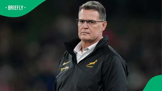 Rassie Erasmus delivers candid assessment of Springboks’ performance against Ireland