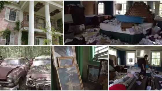 Man discovers old abandoned mansion with 100s of cars, lovely paintings & luxury furniture, shares clip of it