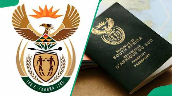 BABS Home Affairs online booking: make an appointment in 2025