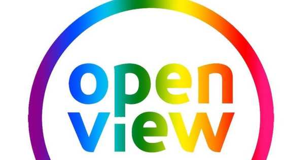 OpenView's contact number, contact address, troubleshooting procedures, FAQs