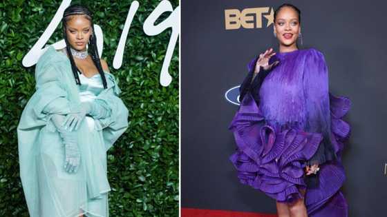 Rihanna's "pottery" like dress at 'Black Panther' premiere fails to impress netizens: "looks like a trash bag"
