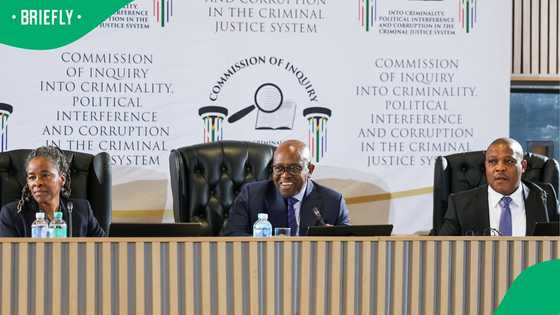 Madlanga Commission: Witness shares Vusimuzi Matlala's ties to KZN Hawks' Head General Lesetja Senona