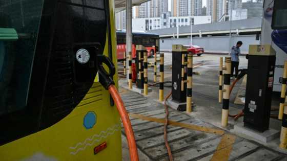 China's electric bus revolution glides on