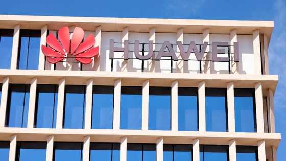 Labour Department takes Huawei to court for hiring 90% foreign nationals, SA left frustrated