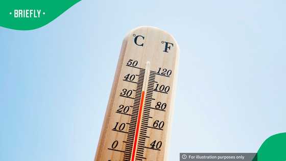 SAWS warns of week-long heatwave for parts of South Africa