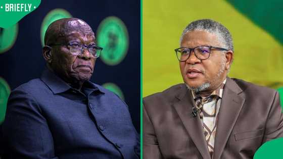 Fikile Mbalula slams Jacob Zuma over visit with wanted Gupta brother in India, South Africans react