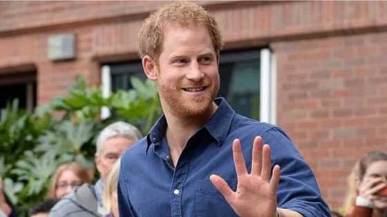 Prince Harry accused of chasing fame at the expense of Royal Family