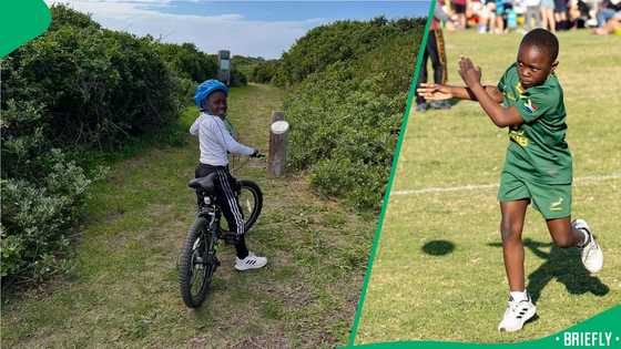"I'm not happy": Joburg's Desmond Koolen sends a message to the Springboks after a crushing defeat