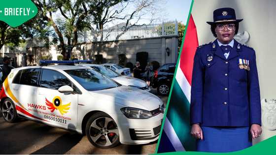 Hawks asked to investigate Acting SAPS Commissioner General Dimpane over R360m Medicare24 deal