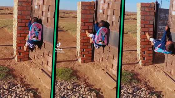 Little girl impresses South Africa with quick thinking – opens heavy gate with bravery