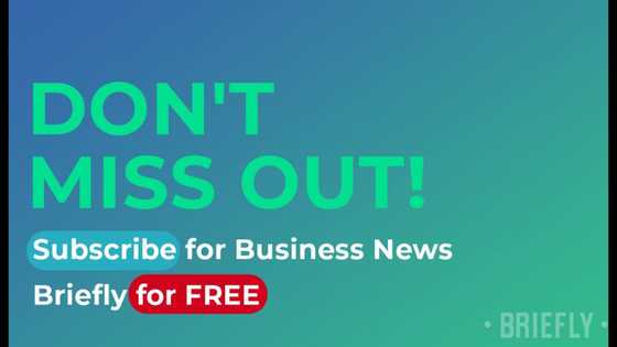 Briefly News launches startup newsletter, promises tips from top entrepreneurs