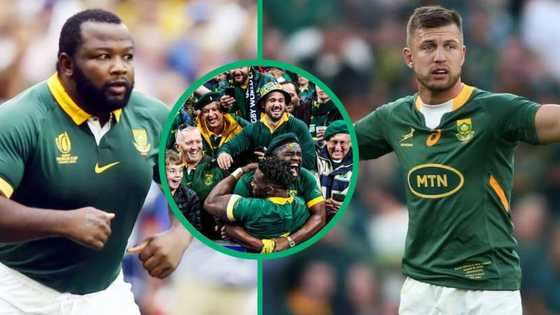 RWC: Springboks win against England in Rugby World Cup thriller, Nché and Pollard hailed as heroes