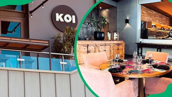 Koi Menlyn Maine menu: discover dishes and current prices