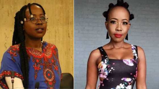 Ntsiki Mazwai blasts Mzansi TV content creators & stations for lack of creativity, Mzansi agrees: "American copycats"