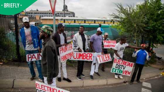 From 8 million to 12 million: Expert reveals the scale of South Africa's unemployment problem