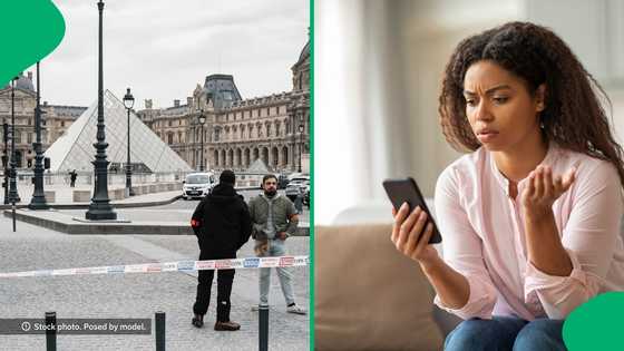 "An attack on history": Online sleuths zoom in on alleged jewels stolen from the Louvre in France